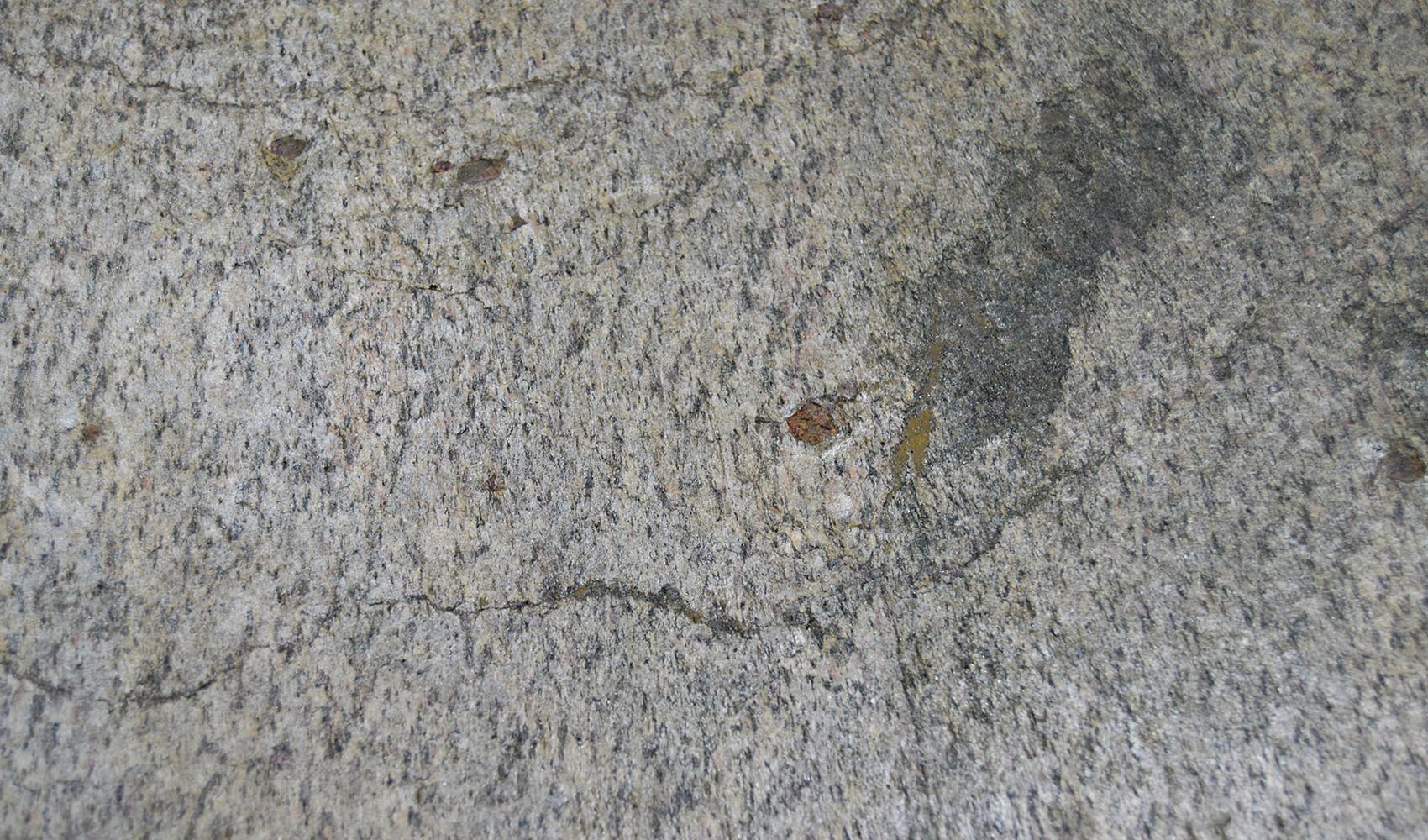 Sliced stone veneer Auro