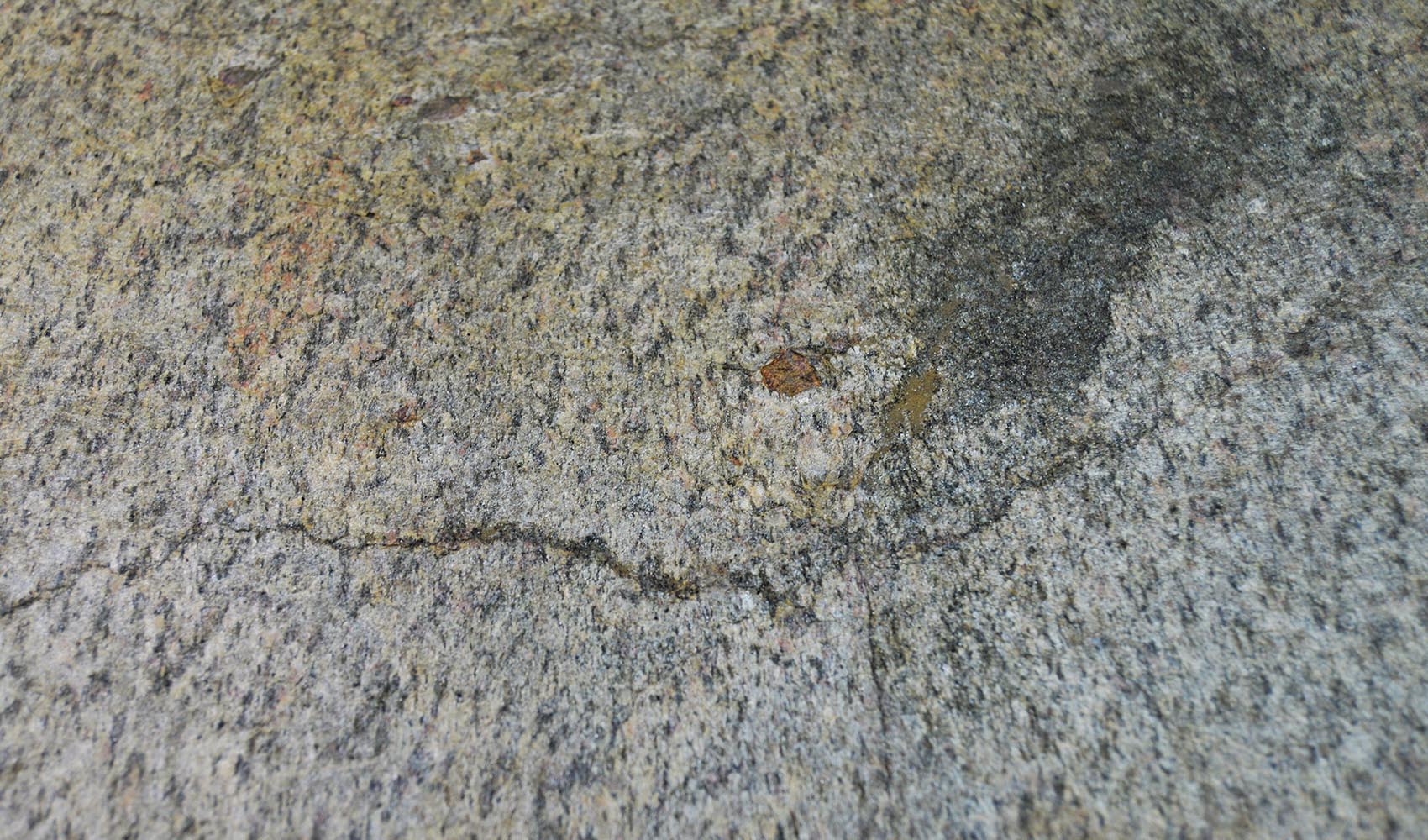 Sliced stone veneer Auro